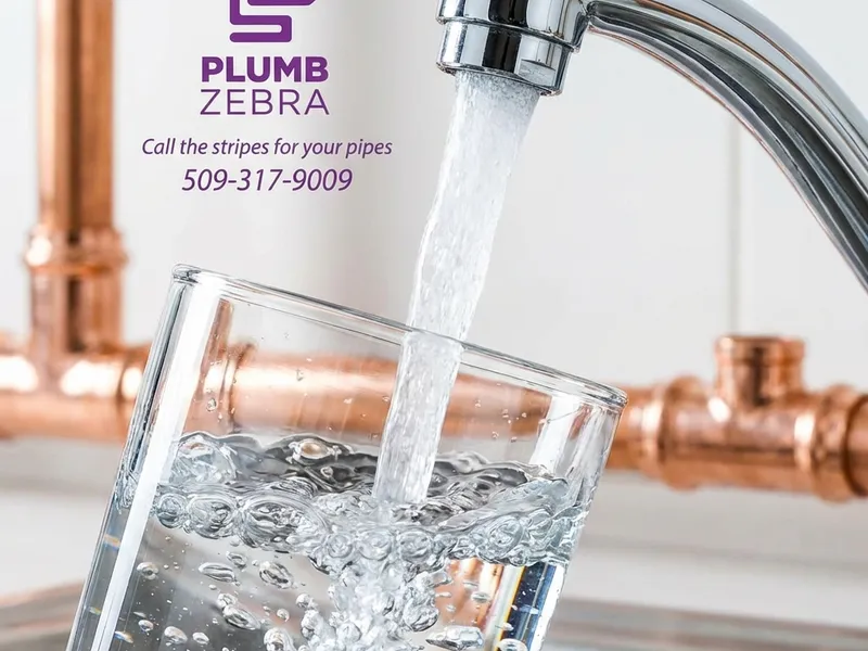 Benefits of choosing PlumbZebra for copper repiping services spokane wa