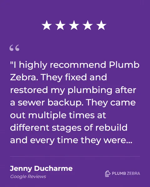 5-Star Plumb Zebra Review
