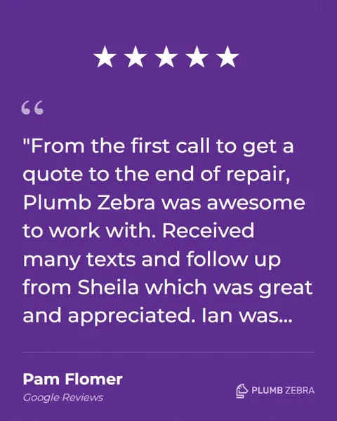 5-Star Plumb Zebra Review