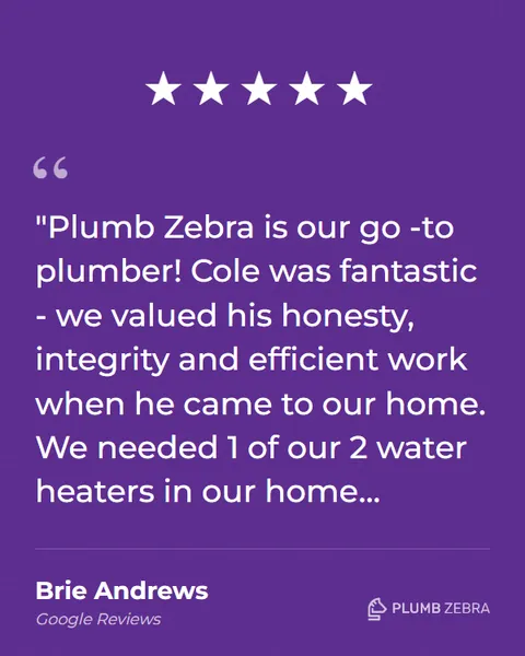 5-Star Plumb Zebra Review