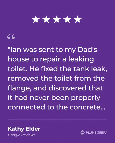 5-Star Plumb Zebra Review