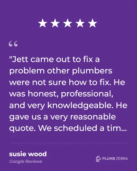 5-Star Plumb Zebra Review