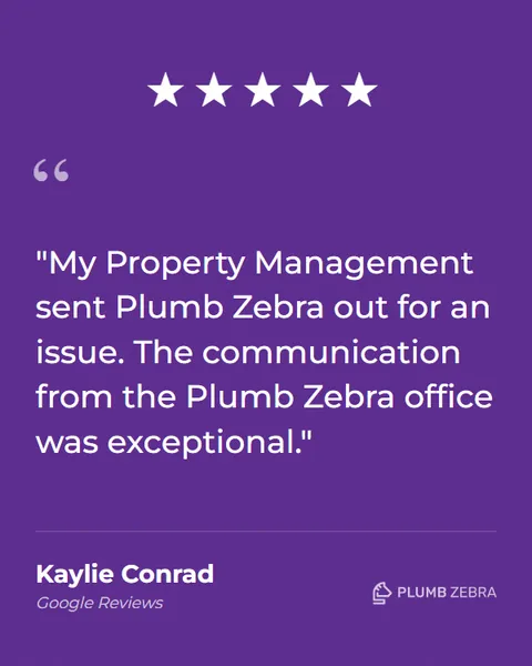 5-Star Plumb Zebra Review