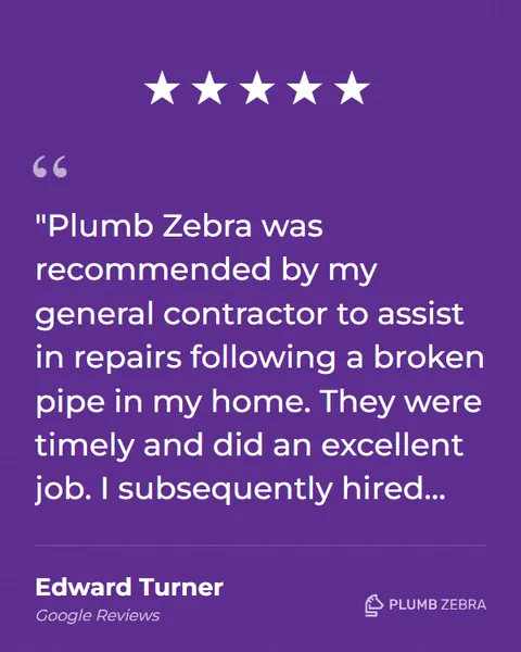 5-Star Plumb Zebra Review