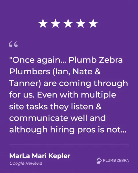 5-Star Plumb Zebra Review
