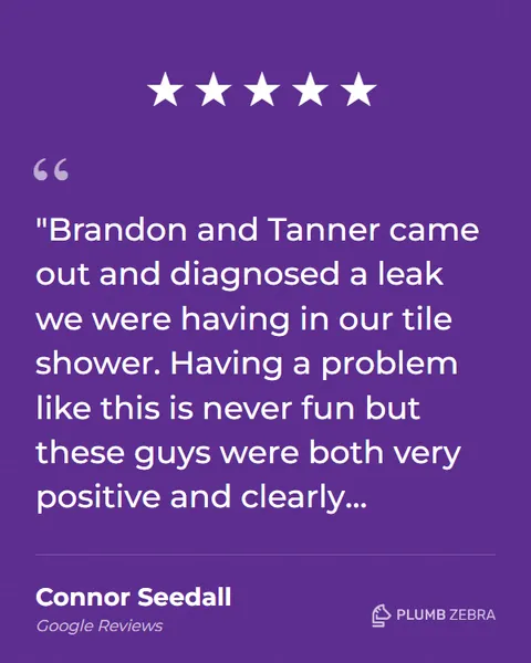 5-Star Plumb Zebra Review