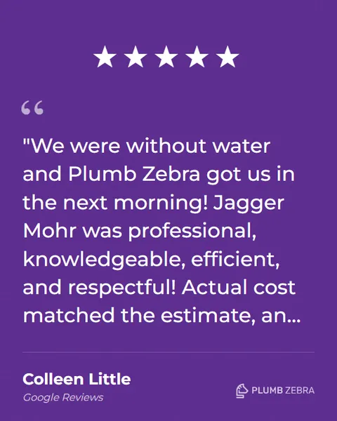 5-Star Plumb Zebra Review