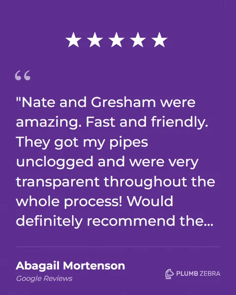 5-Star Plumb Zebra Review