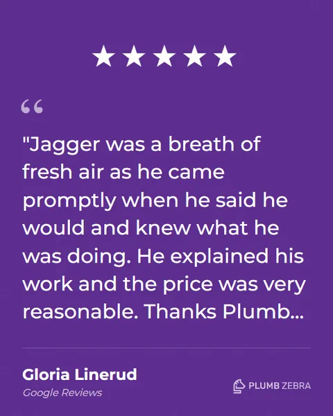 5-Star Plumb Zebra Review