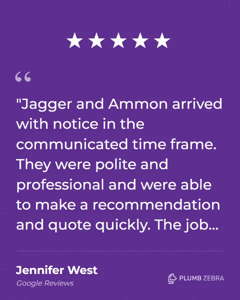 5-Star Plumb Zebra Review