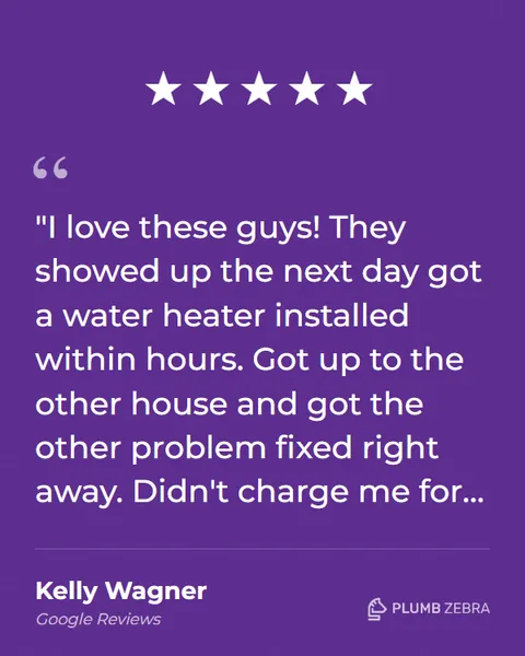 5-Star Plumb Zebra Review