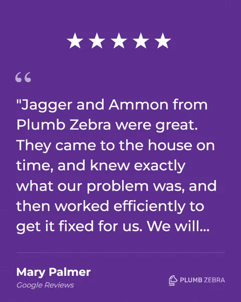 5-Star Plumb Zebra Review