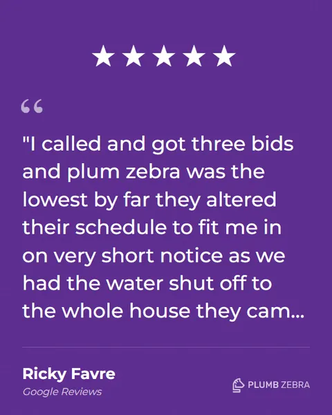 5-Star Plumb Zebra Review