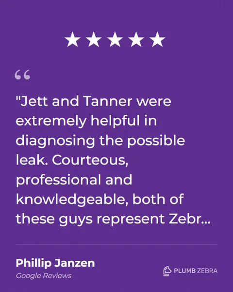 5-Star Plumb Zebra Review