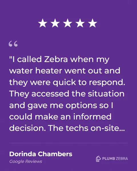 5-Star Plumb Zebra Review