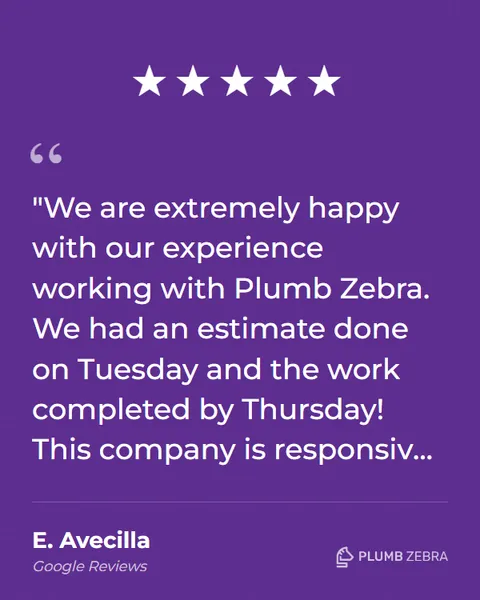 5-Star Plumb Zebra Review