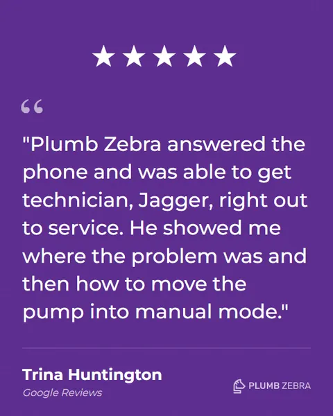 5-Star Plumb Zebra Review