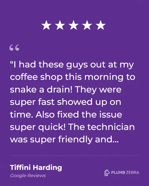 5-Star Plumb Zebra Review