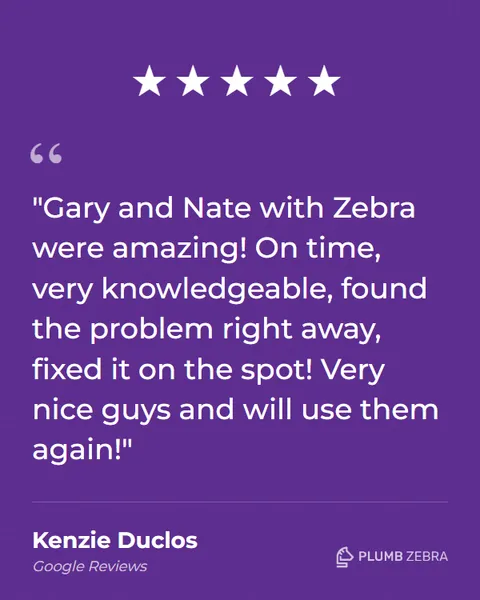 5-Star Plumb Zebra Review