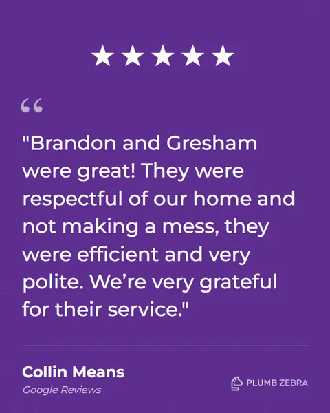 5-Star Plumb Zebra Review