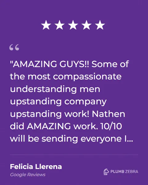 5-Star Plumb Zebra Review