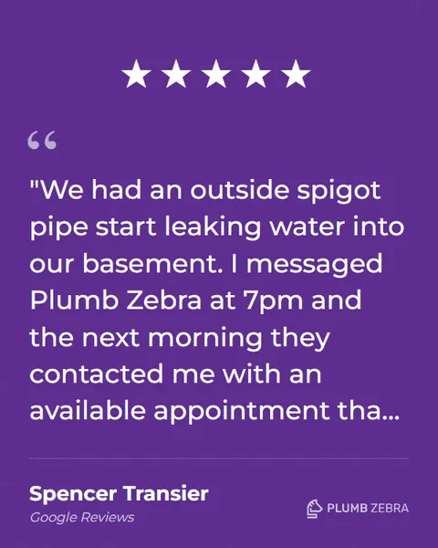 5-Star Plumb Zebra Review