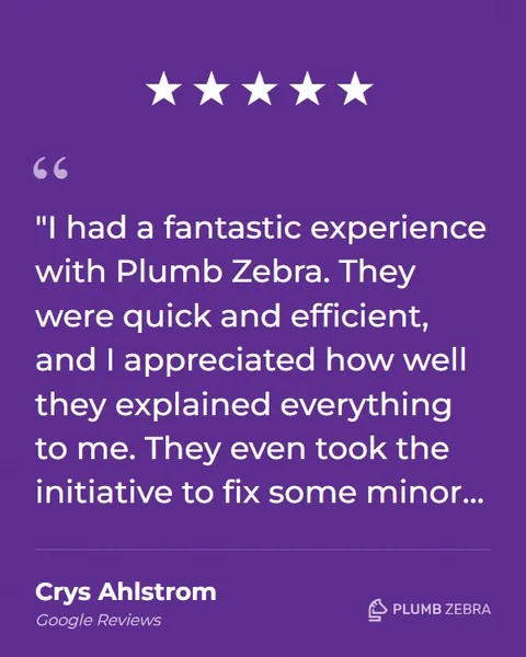 5-Star Plumb Zebra Review