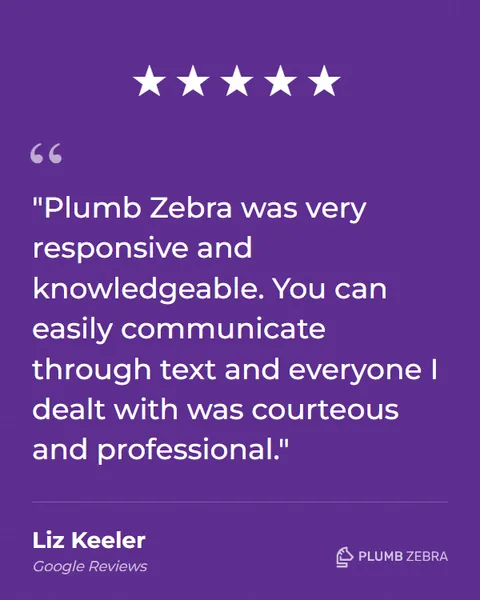 5-Star Plumb Zebra Review