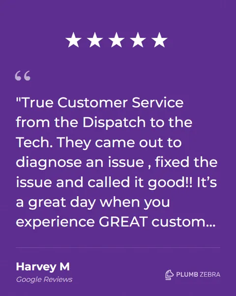 5-Star Plumb Zebra Review