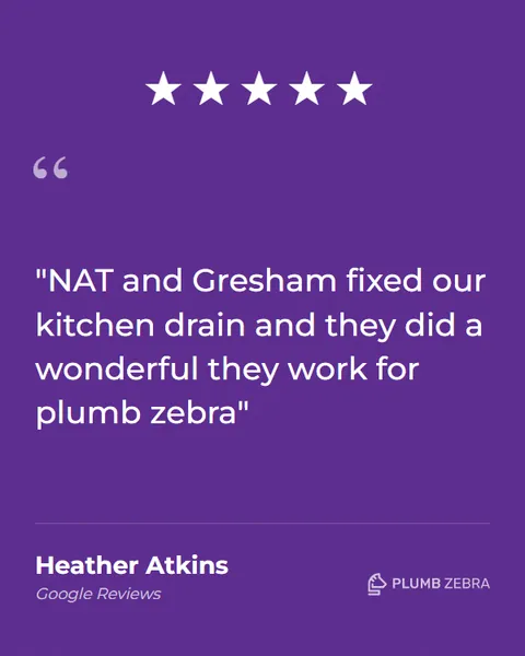 5-Star Plumb Zebra Review