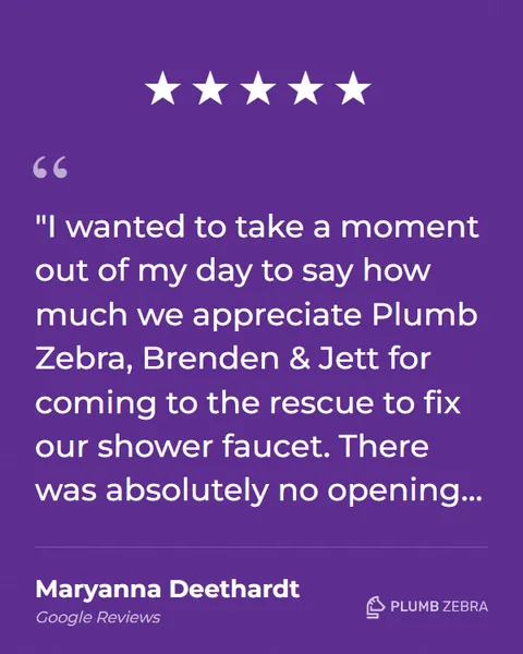 5-Star Plumb Zebra Review