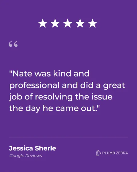 5-Star Plumb Zebra Review