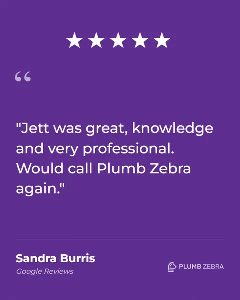 5-Star Plumb Zebra Review