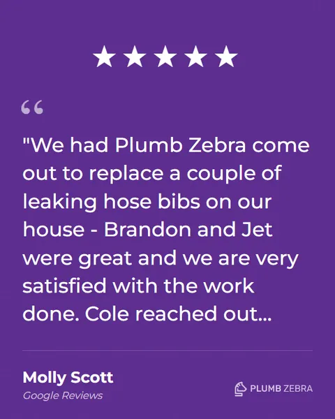 5-Star Plumb Zebra Review