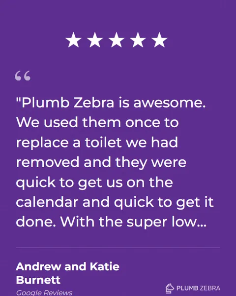 5-Star Plumb Zebra Review
