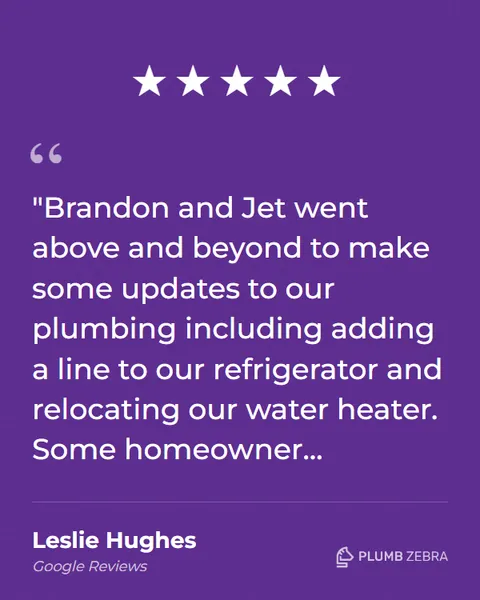 5-Star Plumb Zebra Review