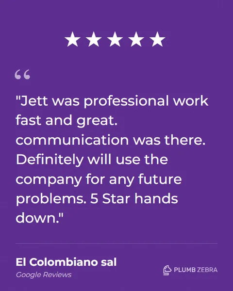 5-Star Plumb Zebra Review