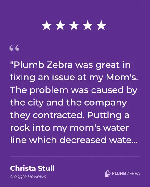 5-Star Plumb Zebra Review